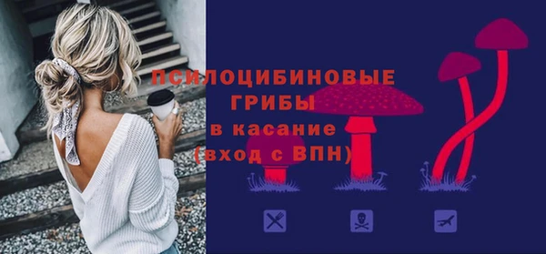 ешки Краснослободск