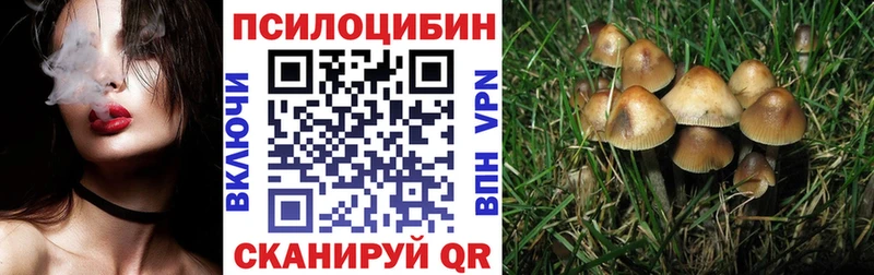 Купить закладки Геленджик Галлюциногенные грибы Psilocybe